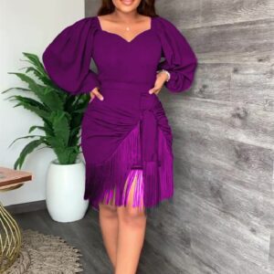 Women Purple Dress