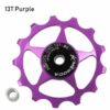 Purple 13T